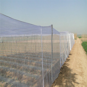 Malla de plástico tejida blanca para agricultura, malla contra insectos y pulgones - Product Image 6