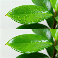 Additif de mélange haute performance en seau 2L, Adjuvant Penrtanian Silicone Liquida Adjuvante Aplicacion Agrcola Silicone Surfactant