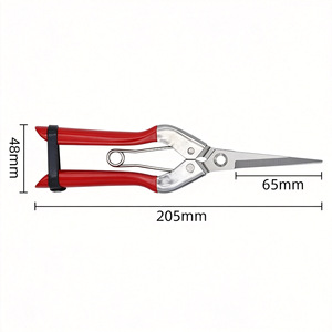 Jolies cisailles de taille extensibles avec lame de 205 mm et coupe de 65 mm pour le jardinage, la floristerie et l'utilisation en verger - Product Image 1