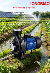 <span class=keywords><strong>Pompe</strong></span> <span class=keywords><strong>solaire</strong></span> DC SHF 1,5 CV portable, légère, facile à transporter et à déplacer, hauteur de refoulement 15 m, pour usage domestique et agricole en zone rurale - Product Image 5