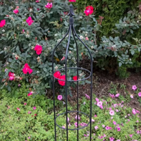 Obélisque de jardin en métal noir, treillis extérieur en fer pour plantes grimpantes, support pour roses et vignes, décoration de patio et de jardin