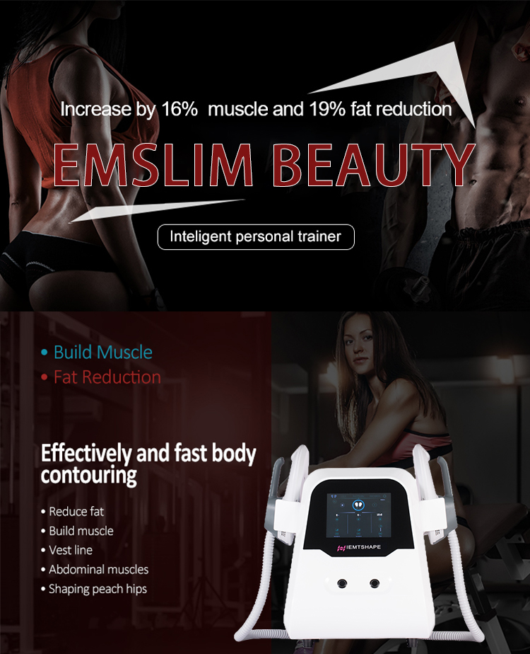 Electro Therapy Muscle Stimulator 2022 Body Building Fitness Electric Muscle Stimulator