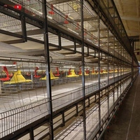 Système d'élevage de poulettes entièrement automatique de type H, cages à étages compactes pour petites exploitations