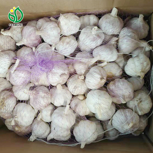 Ajo solo blanco normal a granel de China Proveedor de ajo fresco Semillas de ajo para <span class=keywords><strong>plantar</strong></span> - Product Image 5