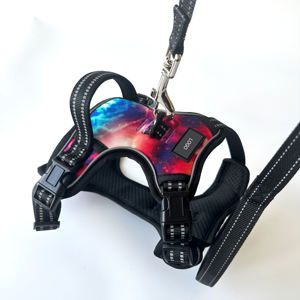 Penjualan langsung dari pabrik Logo kustom dapat diatur antilembap tahan lama tali anjing poliester untuk anjing besar dipersonalisasi tanpa tali tarik - Product Image 5