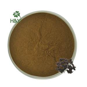 サルガッサム粉末粉末粉末サルガッサム粉末エキス高品質メーカー卸売バルク - Product Image 1