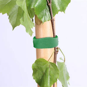Cinta de Velcro autoadhesiva para plantas verdes, banda de sujeción para plantas trepadoras, soporte de jardinería, correas de fijación, rollo de 10M - Product Image 3