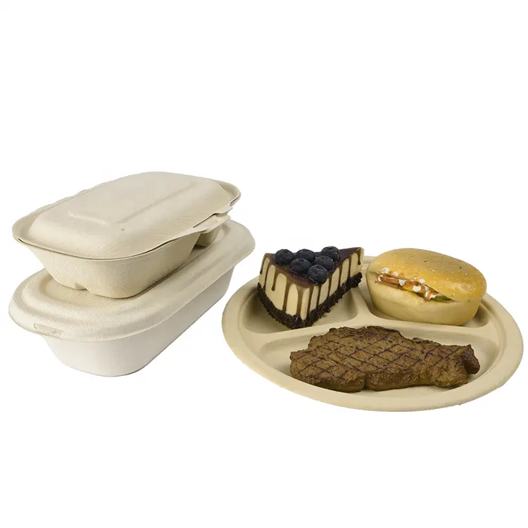 bagasse food container 3 compartment food boxes takeaway packaging biodegradable disposable lunch box