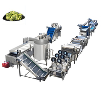 Groenteverpakkingsmachine - Automatische vacuümverpakker & machine voor het verpakken van voorgemaakte zakken voor de verwerking van verse snijproducten