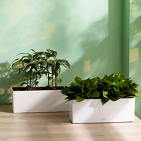 Pot de fleurs rectangulaire en plastique, pièces, grand conteneur boîte de plantation, maceta, sol intérieur, surface colorée