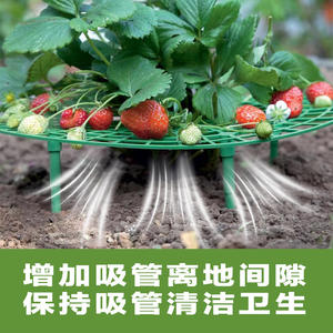 Soporte de Plástico Verde para Fresas, Tipo Disco Redondo, para Jardinería, Cultivo de Frutas y Paisajismo - Product Image 4