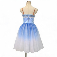 AL-R1328 Tutu de ballet bleu ciel fait main, costume professionnel de luxe, robe longue romantique, tenue de danse avec fleurs 3D pour la scène
