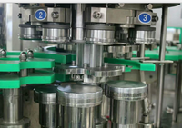 Machine automatique de remplissage et de capsulage de bouteilles de boîtes de conserve pour boissons gazeuses Ligne de production