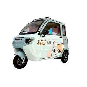 Customizable 3-Wheel Mini Electric Tricycle 2-Door <strong>Enclosed</strong> <strong>Trike</strong> with 1000W for Passengers Body Type Closed - Product Image 1