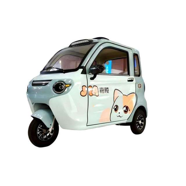 Customizable 3-Wheel Mini Electric Tricycle 2-Door Enclosed Trike with 1000W for Passengers Body Type Closed