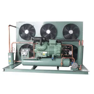 15hp 20hp Semi-hermetic air cooled Compressor Condensing Unit For cold room