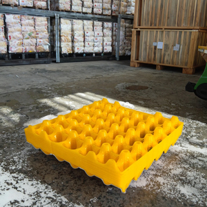 Durable Mesh Style Plastic Egg Shakers Stackable Transport <strong>Packing</strong> <strong>Crates</strong> and Grille Egg Trays for Savings - Product Image 4