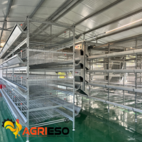 Système de cages automatiques en H pour poulets pondeurs, équipement d'élevage avicole pour fermes commerciales