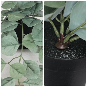 Plante Artificielle de Simulation Bonsaï, Feuille d'Eucalyptus Verte en PVC, Pot Durable, Écologique, pour Décoration de Mariage, Suspendue ou de Bureau - Product Image 5