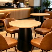 Table basse en métal durable, structure en fer, design moderne, couleur personnalisable, usage commercial pour salon