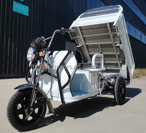 Camioneta Eléctrica Mini de Fácil Uso en Oferta, Capacidad de Carga de 200 kg, Alcance de 60-70 km, para Caja de Carga, Nuevo Vehículo de Energía de Europa para Automóviles - Product Image 4