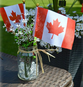 Custom Color&size&material <b>Mini</b> Desk Flag for Indoor Advertising Custom Promotion Gift Printed <b>Table</b> Flag - Product Image 5