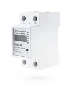 Hot Recommended Home Appliances Tuya Switch Wifi Smart Energy Meter with APP Control PST-ZMAi-90
