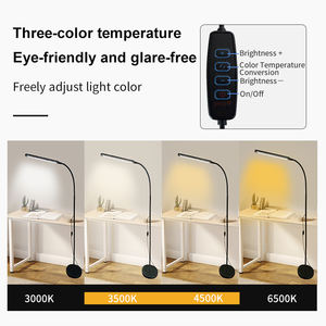 Lampe de sol LED en aluminium pour <span class=keywords><strong>architecte</strong></span> professionnel, pour le travail de bureau, éclairage de tâche, gradation progressive, hauteur réglable, design ergonomique - Product Image 5