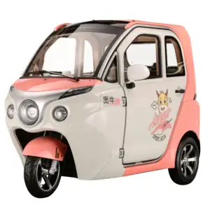 3 Wheels Fully Enclosed Electric Tricycle With Passenger Seat For Adults Lithium Battery Optional