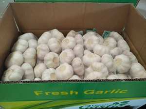 Optimum taze sarımsak 1kg Alho frafrais Ajos freskleri karton ambalaj toptan fiyat çin'de sıcak tedarikçisi - Product Image 5