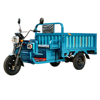Tricycle électrique robuste à 3 roues avec benne latérale haute pour le transport agricole – Moto électrique