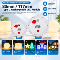 Wiederaufladbare IP65 Wasserdichte RGB LED-Batterielampe mit Fernbedienung Dimmbar für Hotel-Flaschen & Innen-/Außenbeleuchtung
