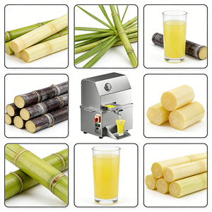 Presse-canne à sucre avec pieds en caoutchouc antidérapants pour le Maroc - Résout les problèmes de sols mouillés et gras des souks, stable sur les carreaux - Product Image 1