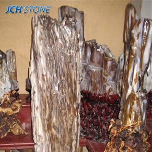 Maison jardin extérieur intérieur décoratif fossile en bois pétrifié pierre décoration aménagement paysager pierre de roche naturelle - Product Image 1