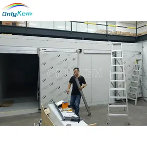 Cold room Refrigeration camera for sea food cold chamber for ice cream freezer