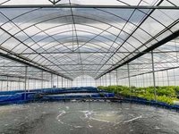 Serre tunnel en film pour élevage avicole, bovins et caprins avec système d'isolation et de refroidissement