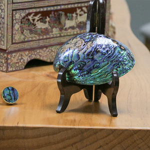 Hot Sale New Zealand Abalone <strong>Shell</strong> Polished Natural Seashell for Home Decoration Aquarium Landscaping Burning Sage <strong>Shell</strong> - Product Image 6