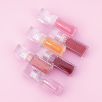 Baume à lèvres repulpant végétalien saveur fruitée, logo personnalisé, hydratant, SPF, sans cruauté animale, huile à lèvres brillante marque privée