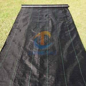Venta al por mayor de alta calidad estera de control de malezas agrícolas resistencia al viento rollo de tela PP negro 100 Gsm 1*100m <span class=keywords><strong>malla</strong></span> de cobertura del suelo - Product Image 2