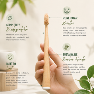 Cepillo de Dientes de Bambú con Cerdas de Jabalí, Sin Plástico, Ecológico, con Logotipo Personalizado, Venta al Por Mayor, Biodegradable, de Madera Natural - Product Image 3