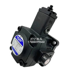Pompe à aubes variables Shenyu VP-20-F/A3, pompe à huile hydraulique pour machines industrielles - Product Image 2