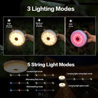 Bandes lumineuses LED solaires pour le camping, la tente, la décoration de jardin, RGB, étanches, portables, IP65