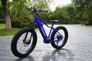 Teeness High Speed 26 Inch Electric Bicycle Fat Tire High Speed Ebike