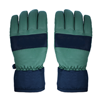 Gants de ski professionnels en nylon légers et imperméables, protection contre les chocs, TJ SNOW, thermiques, unisexes, pour snowboard, hiver extrême