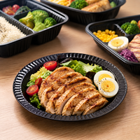 Assiettes alimentaires transparentes en PP, assiettes de service jetables robustes pour mariages, banquets, événements à domicile et traiteurs en extérieur