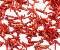Collier de perles de corail rouge italien Branches uniques Perles de pierre polies en vrac pour la fabrication de bijoux Qualité incroyable Prix de gros