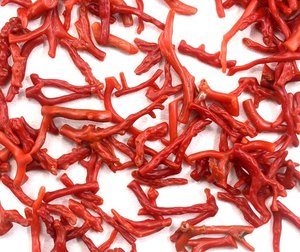 Collier de perles de corail rouge italien Branches uniques Perles de pierre polies en vrac pour la fabrication de bijoux Qualité incroyable Prix de gros - Product Image 5