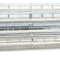 Cages de batterie pour poulets de type A, galvanisées en couches, pour l'élevage de poulets de ferme et la production d'œufs