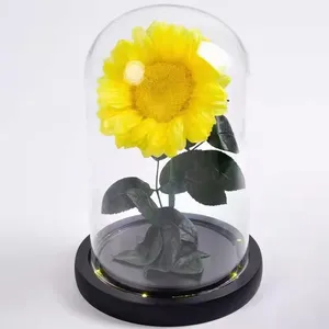 בסיטונאות פרח זכוכית חמניות-יונאן סיטונאי השתמר פרחים הפופולרי ביותר אמיתי יופי השתמר חמניות עלה גזע ב זכוכית כיפה