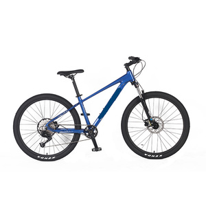 Popolare buono per l'esercizio a velocità variabile Fat Tire Fat Wheel Mountain Dirt Bike per adulti prezzo di fabbrica di alta qualità - Product Image 5